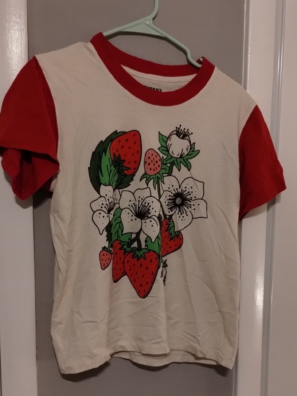 Big Bud Press Unisex Graphic Strawberry T-shirt XXS Never Worn